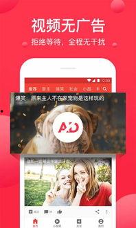 吃瓜天堂爆料视频下载,独家爆料视频下载全记录